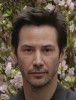photo Keanu Reeves