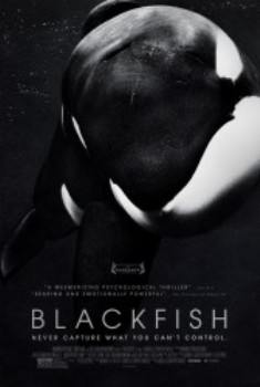 poster Blackfish&nbsp;&nbsp;(2013)