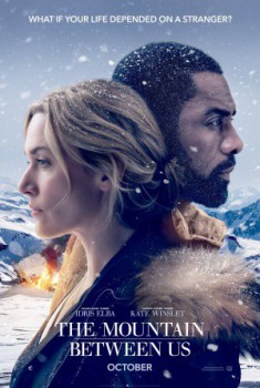 poster The Mountain Between Us&nbsp;&nbsp;(2017)